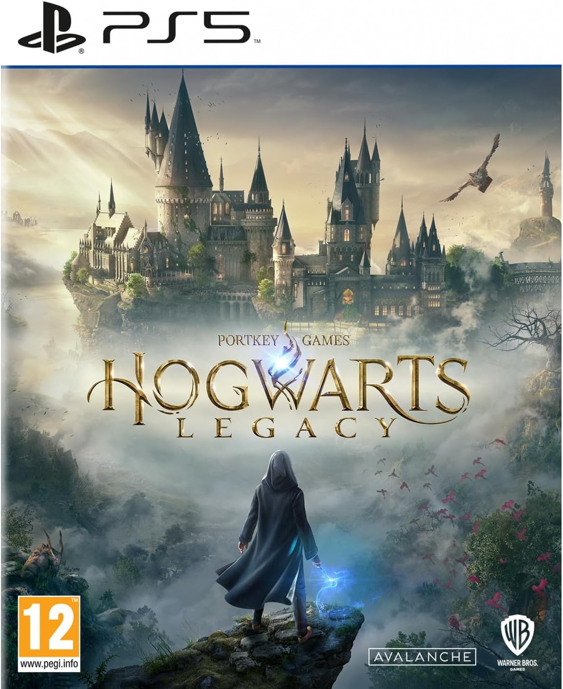 HOGWARTS LEGACY HARRY POTTER