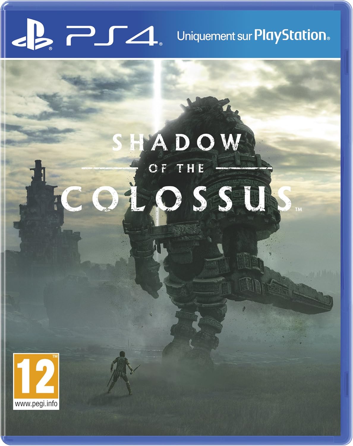 SHADOW OF THE COLOSSUS (occasion)