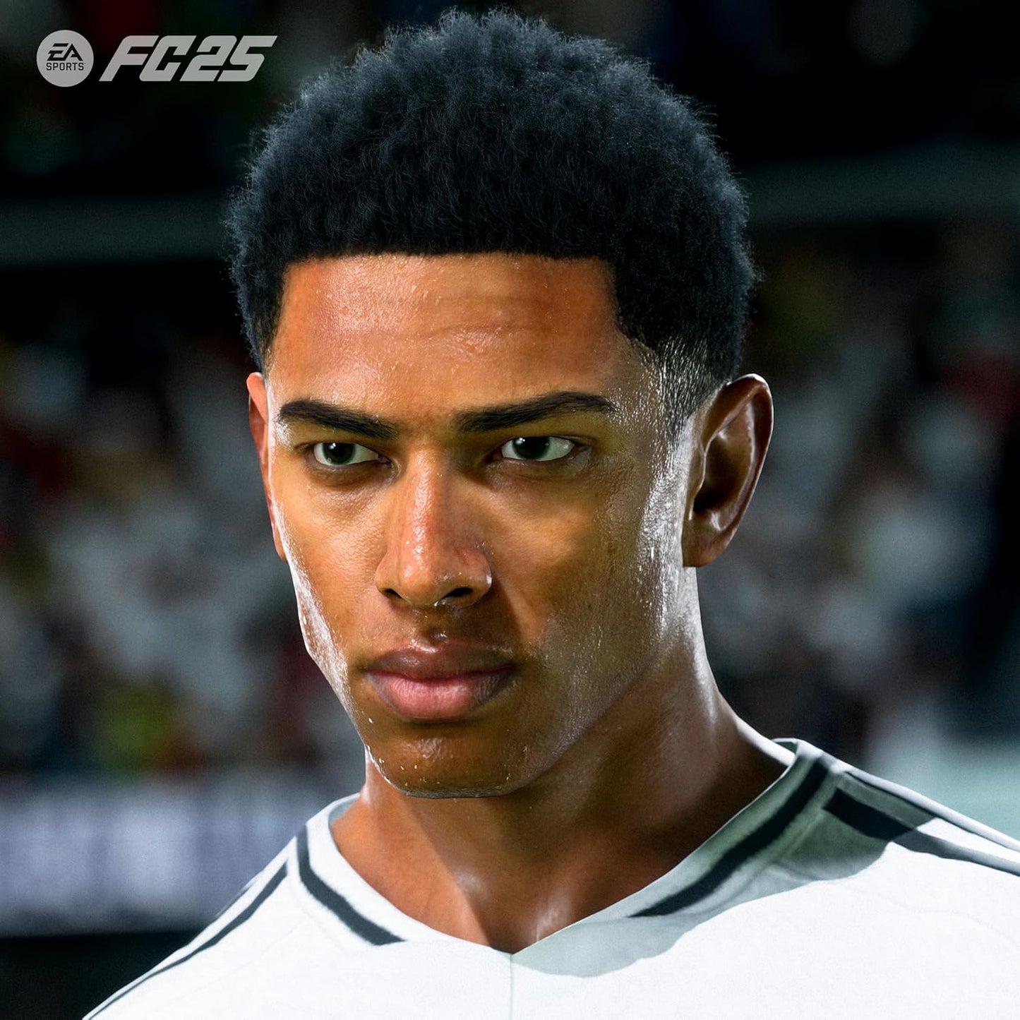 EA FC 25 (PS5)