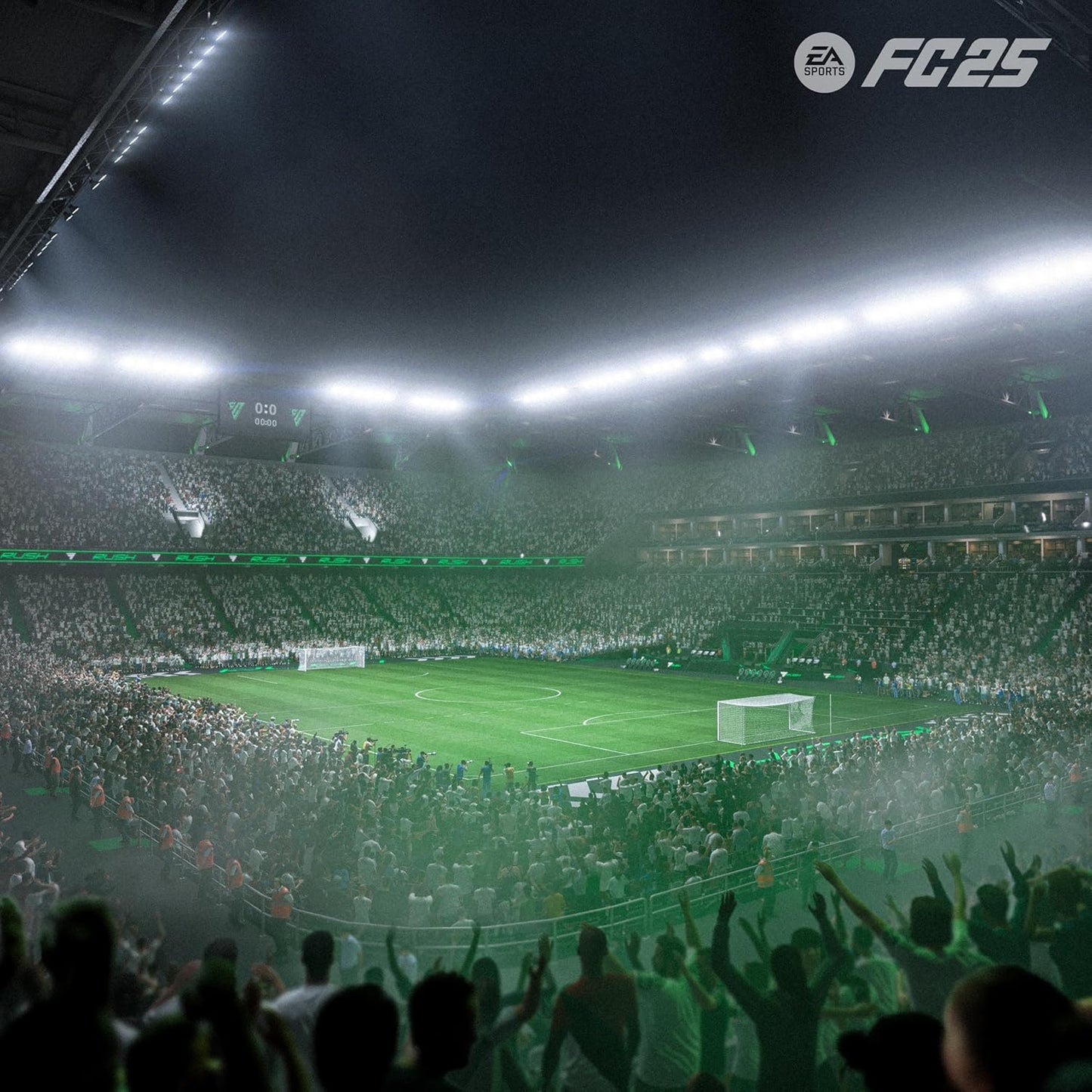 EA FC 25 (PS5)