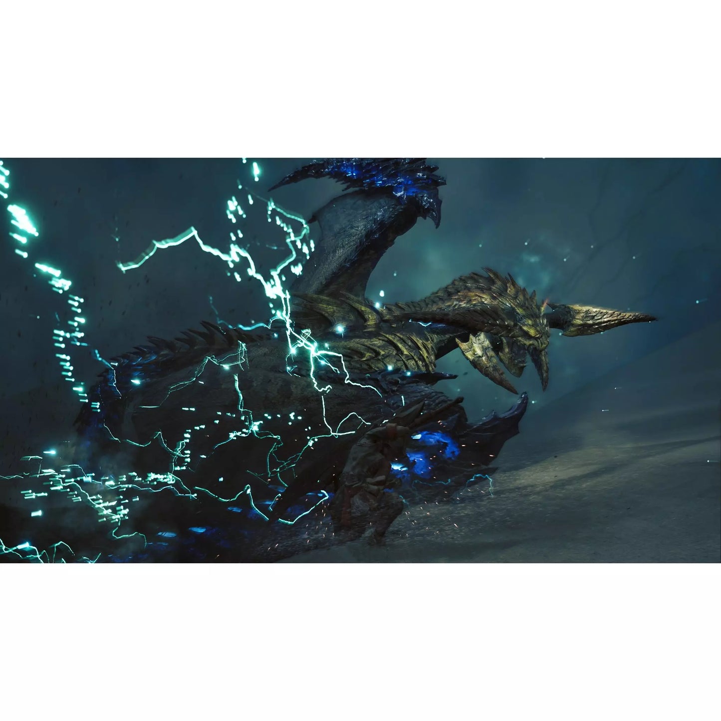 PRECO - MONSTER HUNTER WILDS PS5 (Sortie le 28/02/25)